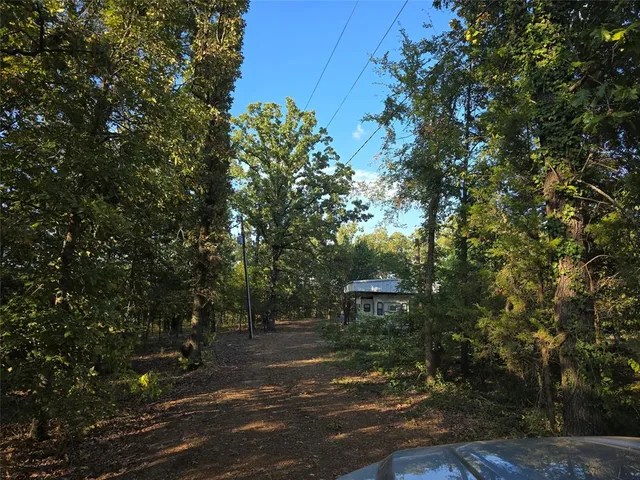 a view of a trees with a yard