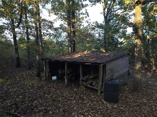 a view of a forest with trees in the background