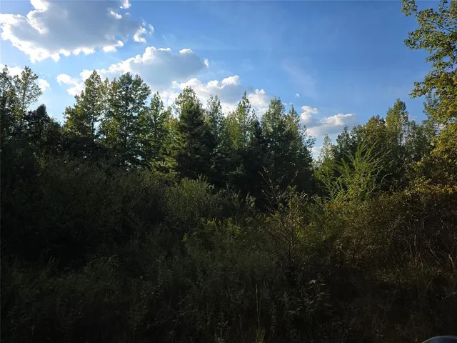 a view of outdoor space and trees