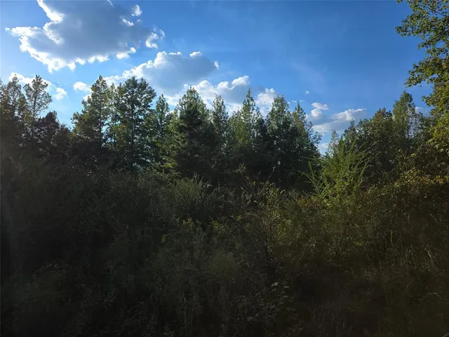 a view of outdoor space with deck and yard