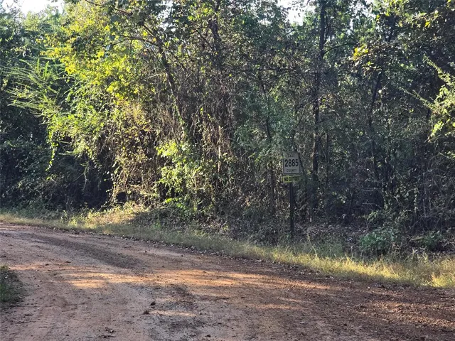 a backyard of a house