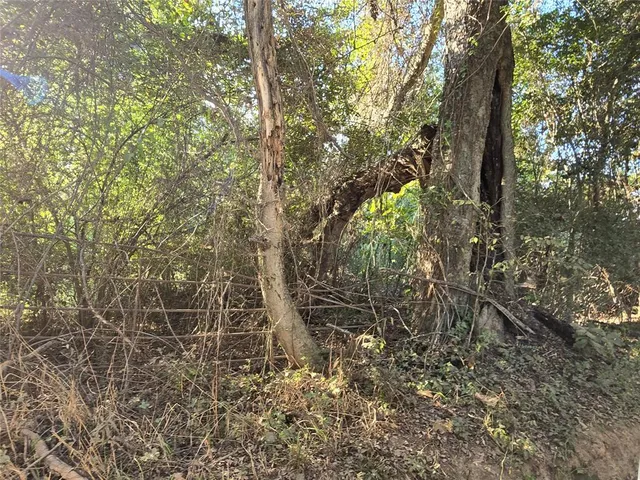a view of backyard with green space