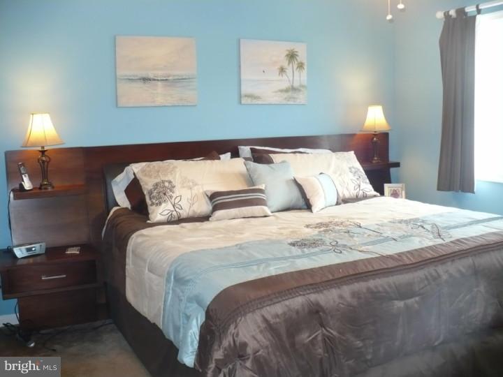 2919 Newport Way Sinking Spring, PA 19608 - Photo 14 of 24 Master Bedroom