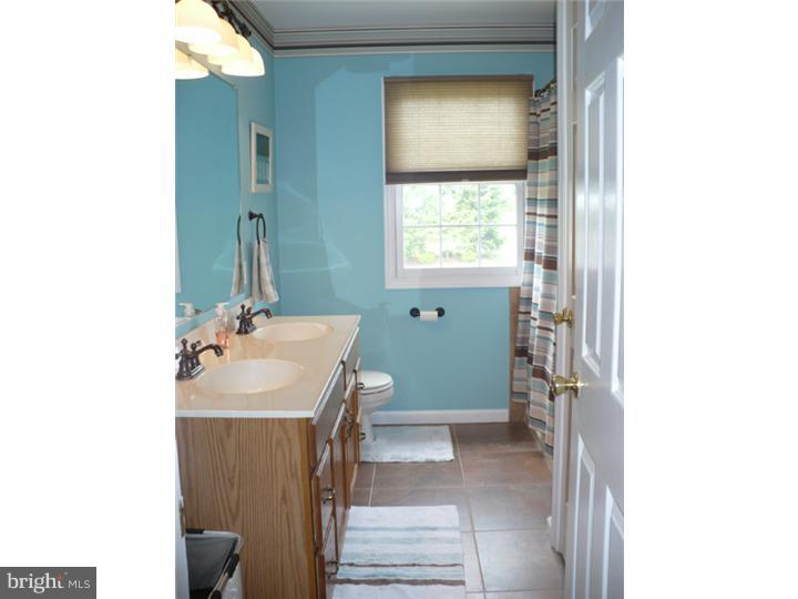 2919 Newport Way Sinking Spring, PA 19608 - Photo 19 of 24 Bathroom