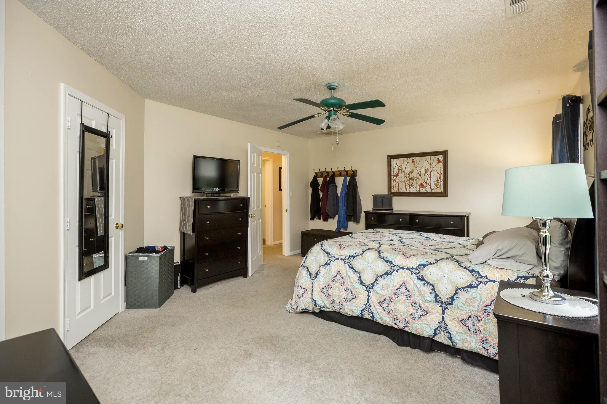8799 Frederick Road Ellicott City, MD 21043 - Photo 8 of 22 2nd floor Bedroom (Master)