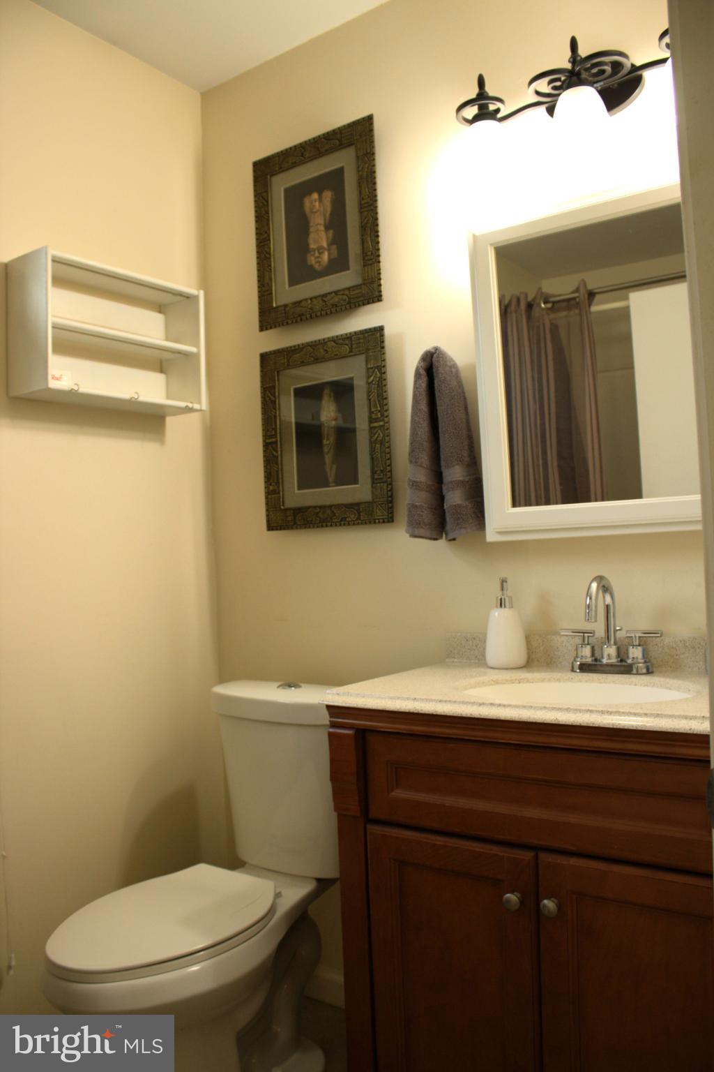 3910 Oaklawn Road Fort Washington, MD 20744 - Photo 12 of 17 a bathroom with a toilet a sink and mirror