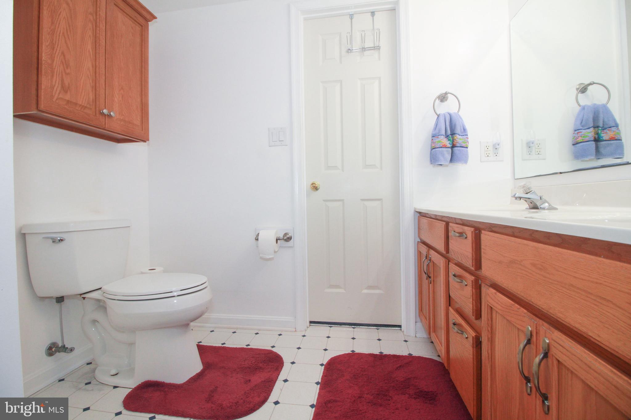 2154 Cecilton Warwick Road Warwick, MD 21912 - Photo 38 of 44 Primary bath