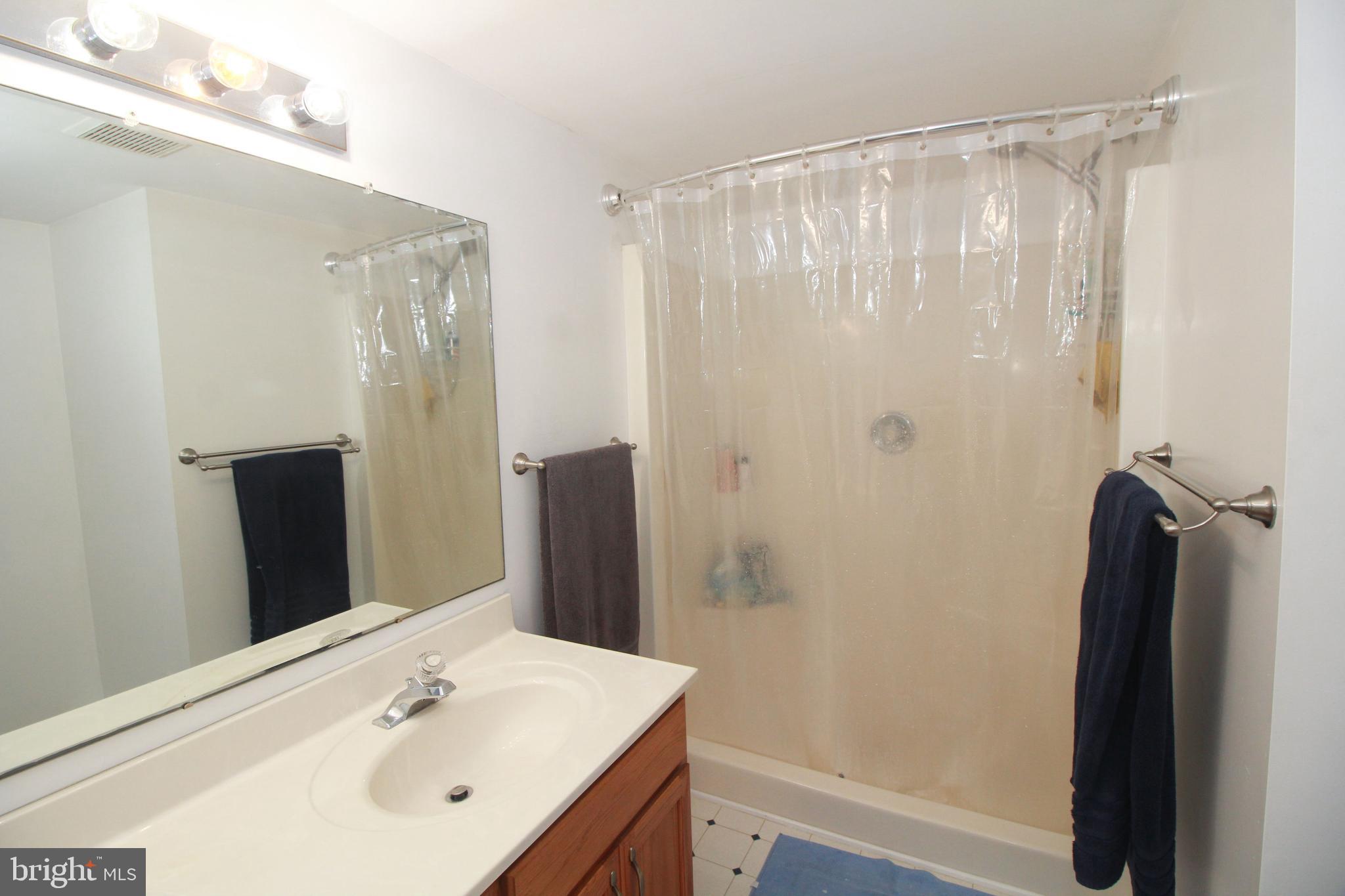 2154 Cecilton Warwick Road Warwick, MD 21912 - Photo 39 of 44 Primary bath with walk-in shower
