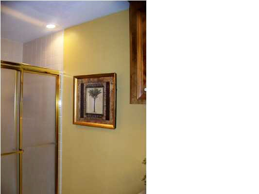 289 Clark Creek Road Brandon, MS 39047 - Photo 11 of 16 Master shower
