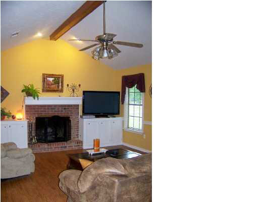 289 Clark Creek Road Brandon, MS 39047 - Photo 5 of 16 Great Room showing Vaulted Ceiling