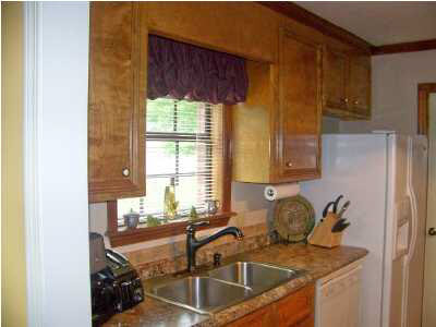 289 Clark Creek Road Brandon, MS 39047 - Photo 7 of 16 Another View of Kitchen w/ New Faucet!