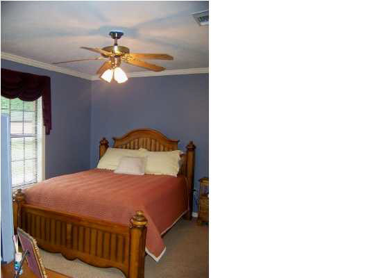 289 Clark Creek Road Brandon, MS 39047 - Photo 9 of 16 Master bedroom