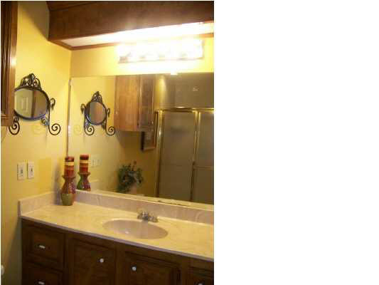 289 Clark Creek Road Brandon, MS 39047 - Photo 10 of 16 Master vanity