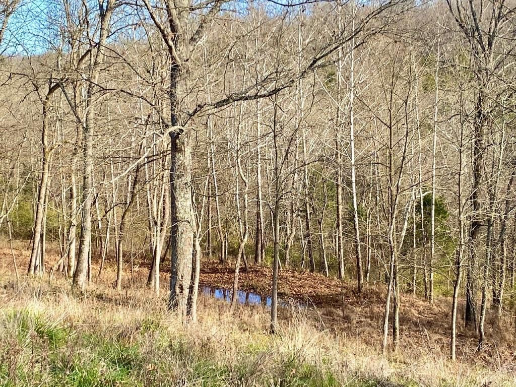 10220 Beil Road Union, KY 41091 - Photo 36 of 39 Gallery Image 36
