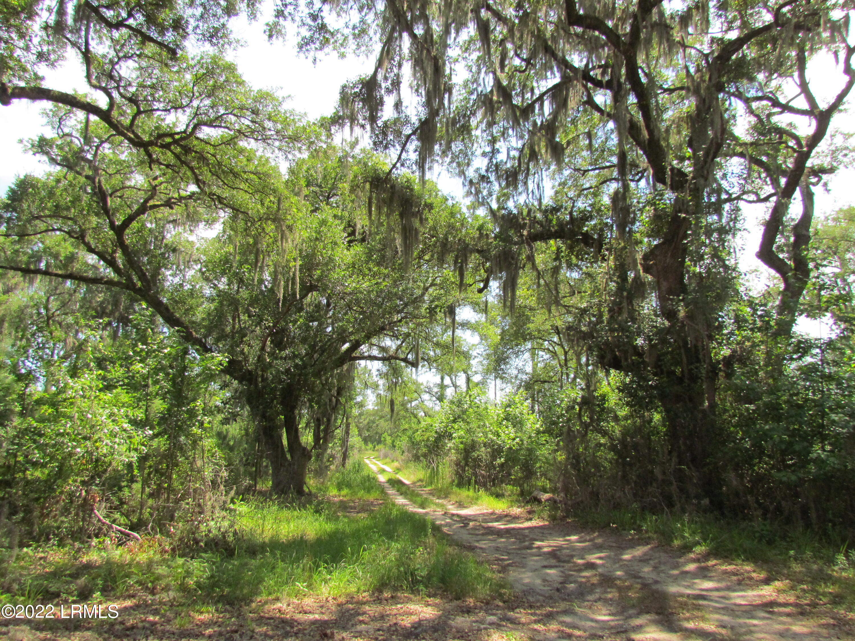 214 Seabrook Road Seabrook, SC 29940 - Photo 12 of 17 IMG_5183