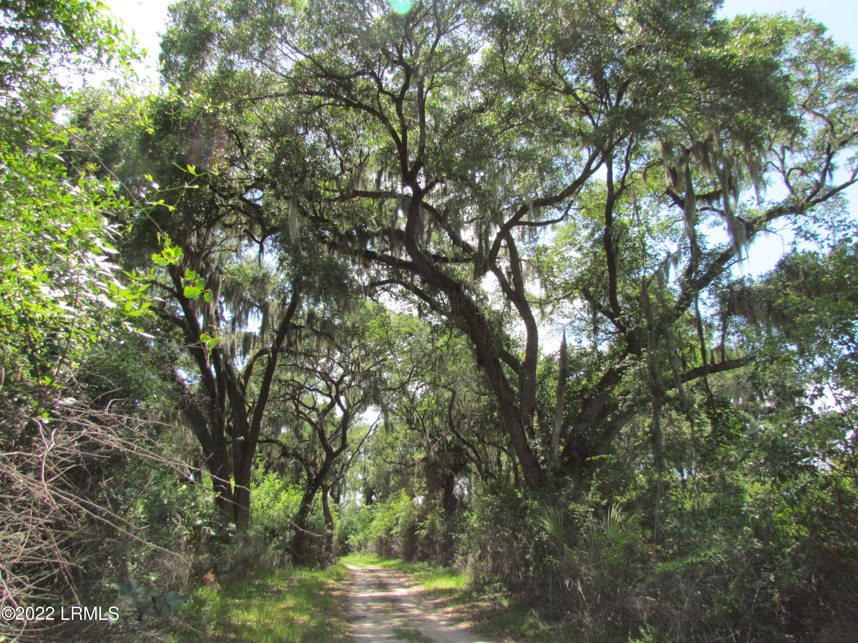 214 Seabrook Road Seabrook, SC 29940 - Photo 4 of 17 IMG_5179