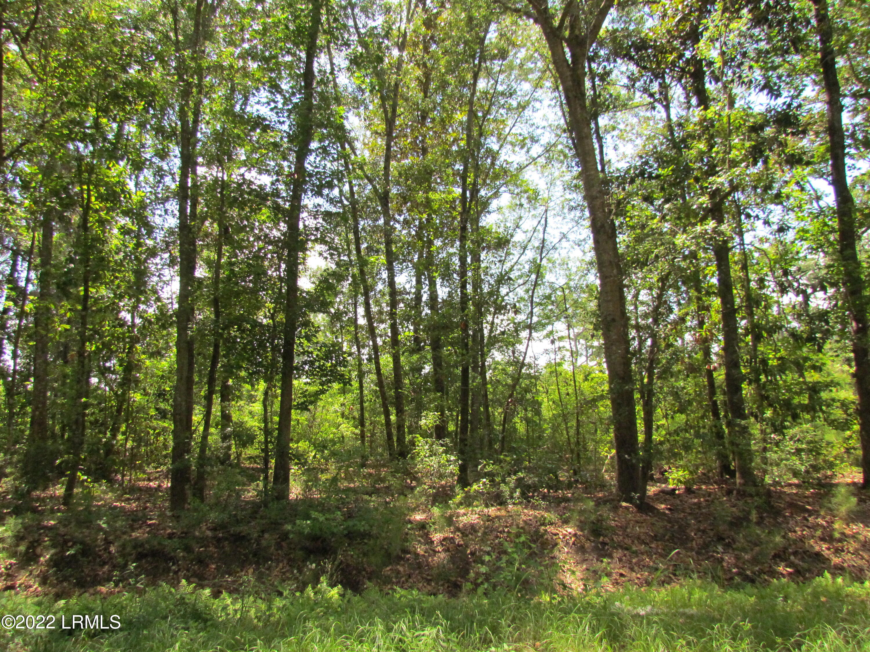 214 Seabrook Road Seabrook, SC 29940 - Photo 5 of 17 IMG_5174