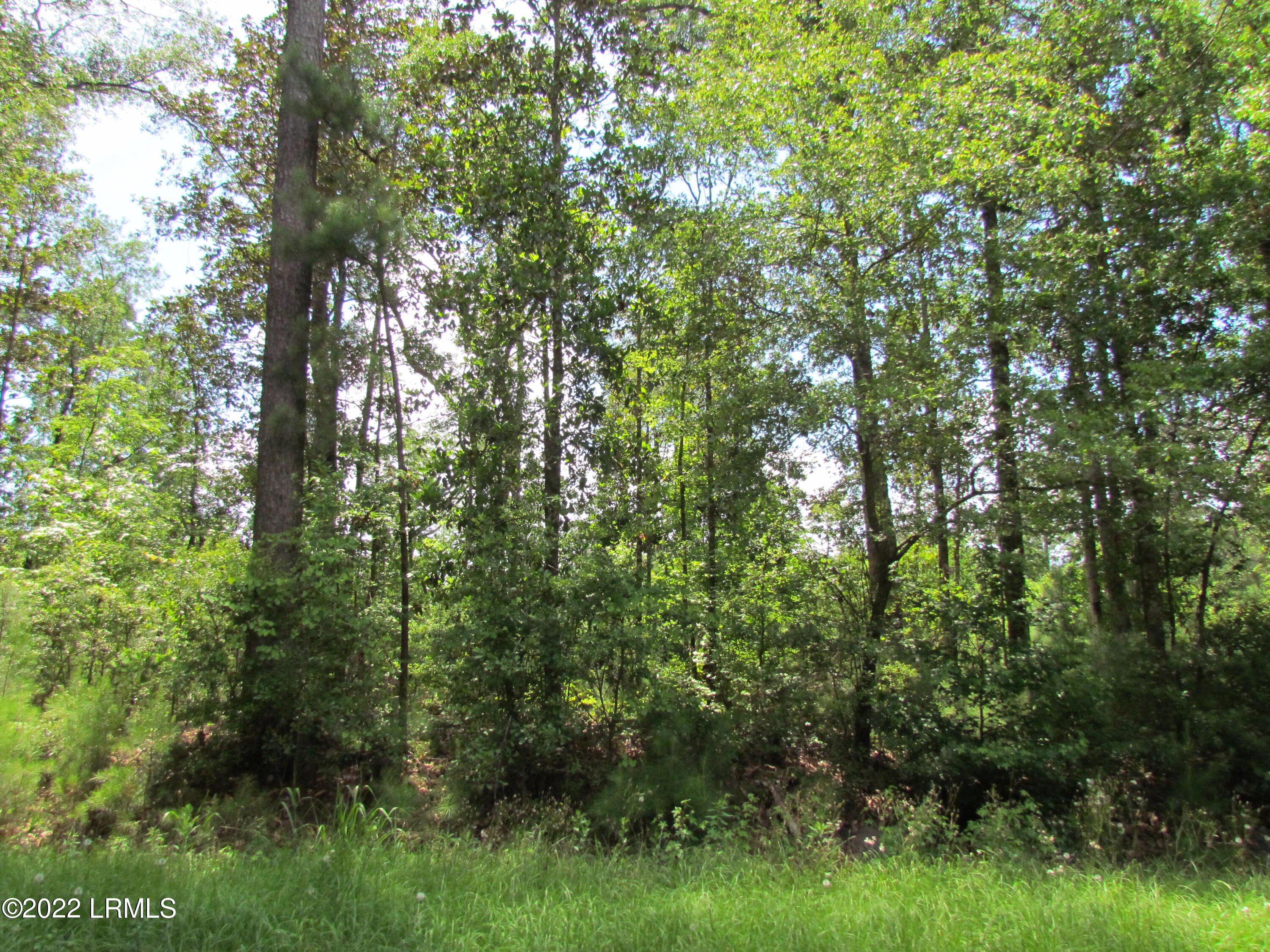 214 Seabrook Road Seabrook, SC 29940 - Photo 6 of 17 IMG_5175