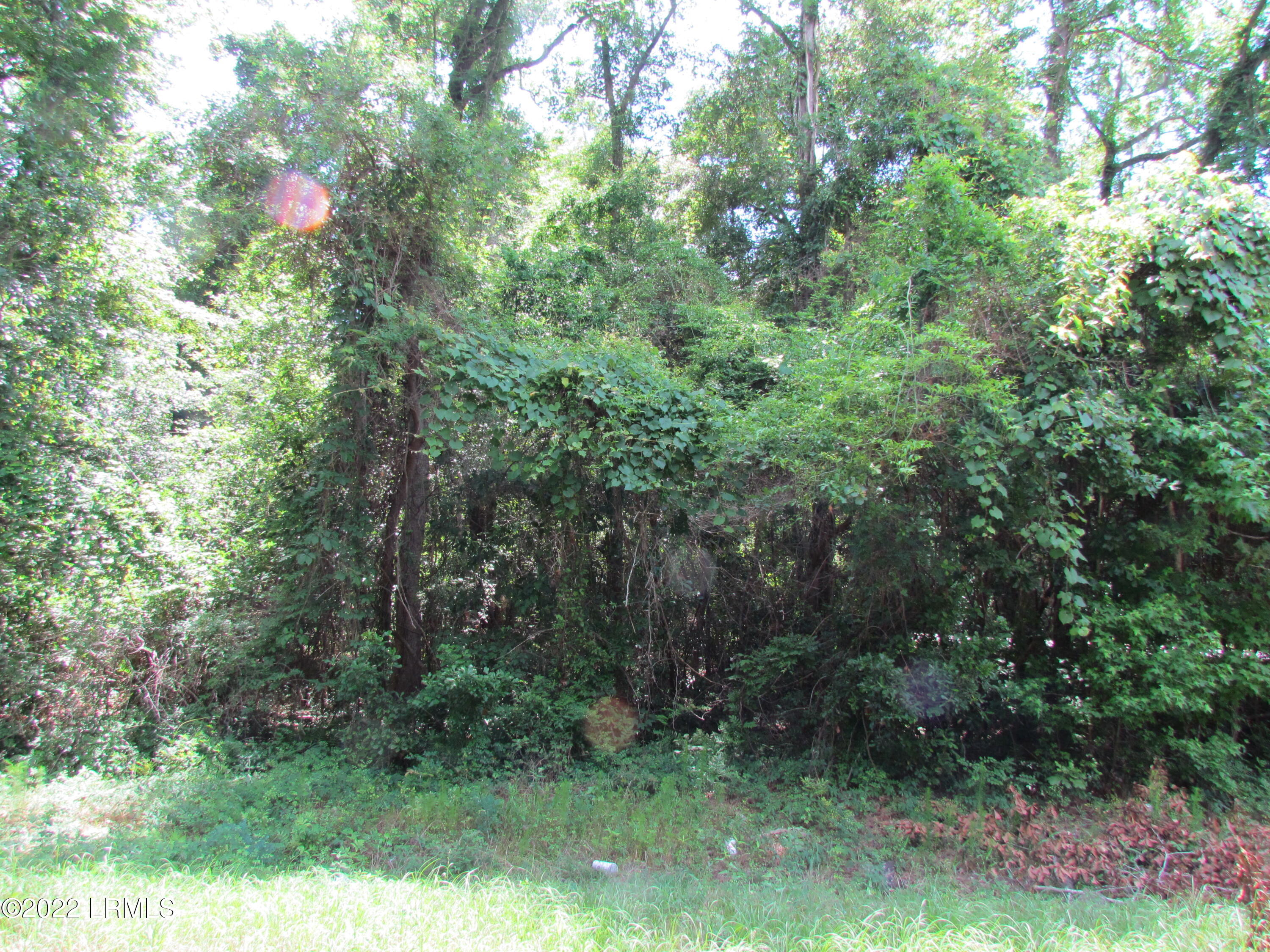 214 Seabrook Road Seabrook, SC 29940 - Photo 7 of 17 IMG_5176