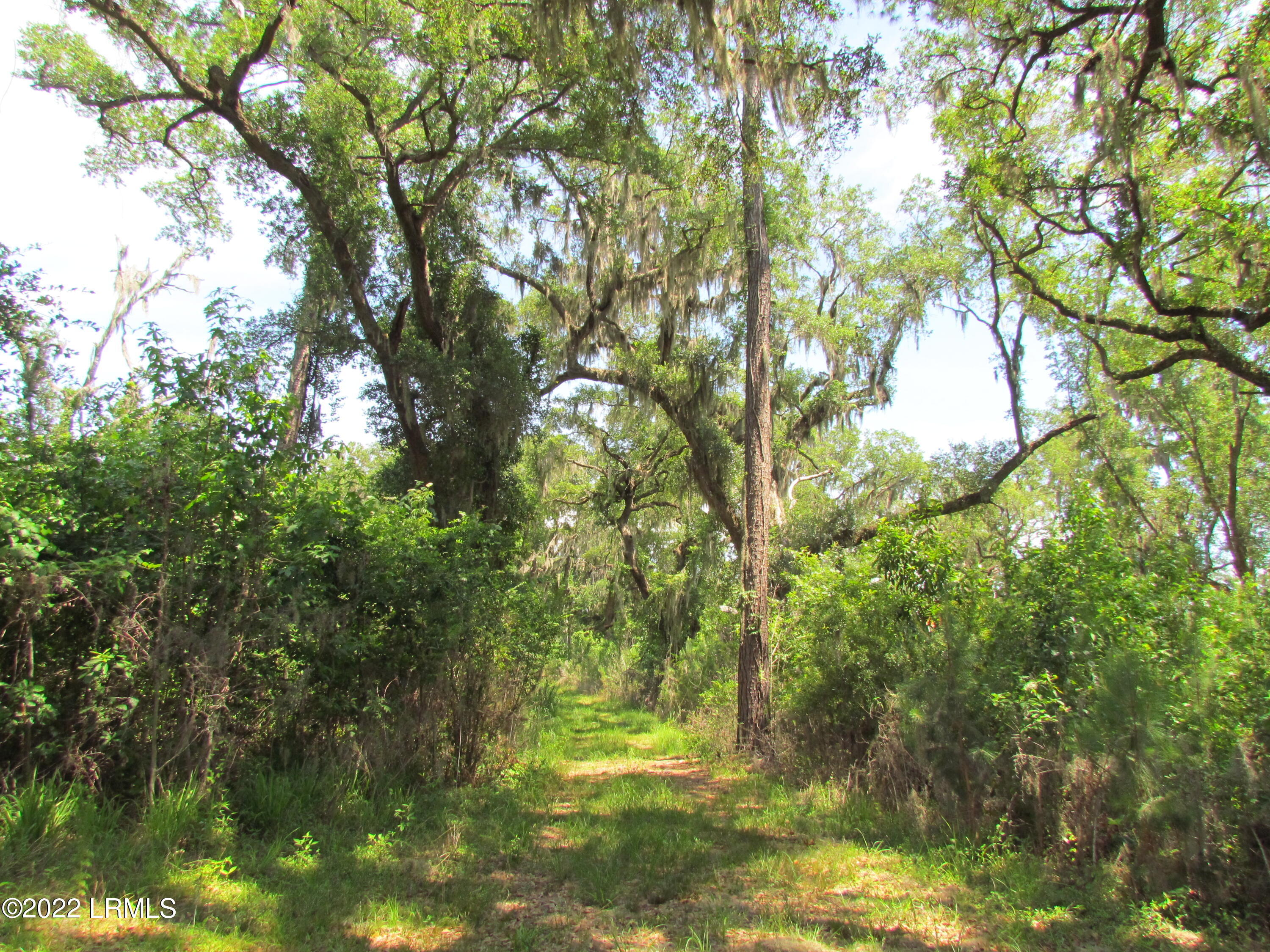 214 Seabrook Road Seabrook, SC 29940 - Photo 10 of 17 IMG_5181