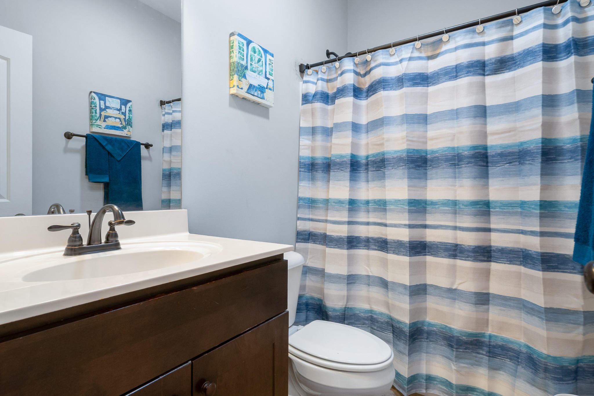 1934 Hygeia Road Greenbrier, TN 37073 - Photo 19 of 36 a bathroom with a sink a toilet a mirror and shower curtain