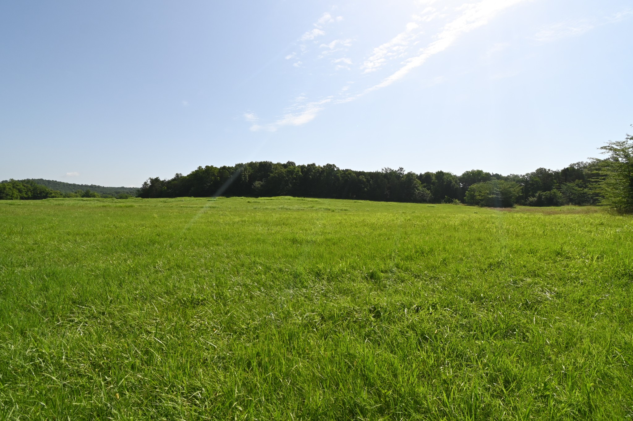 0 Culps Bend Road Clifton, TN 38425 - Photo 34 of 41