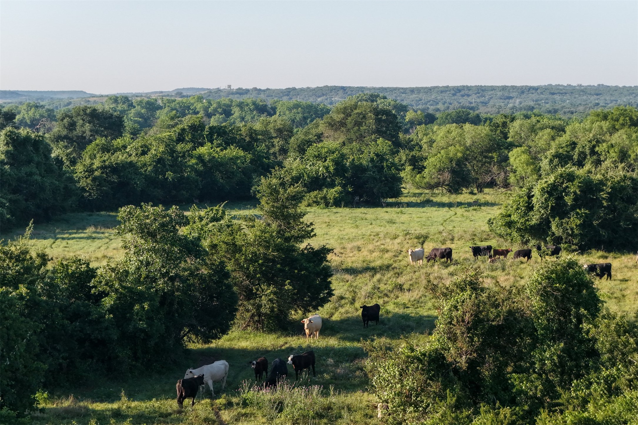 0 Straws Mill Road Gatesville, TX 76528 - Photo 27 of 40