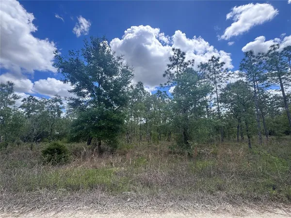 $10,000 | Tbd Northeast 150 Court, Williston, FL 32696