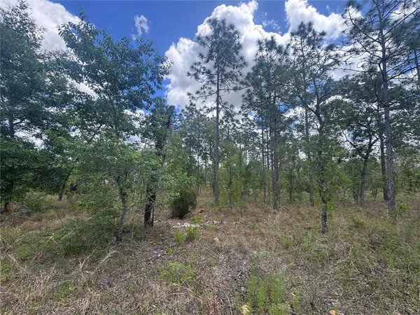 $10,000 | Tbd Northeast 150 Court, Williston, FL 32696