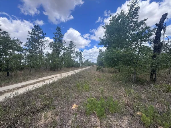 $10,000 | Tbd Northeast 150 Court, Williston, FL 32696