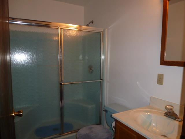 19400 Ida Center Road Petersburg, MI 49270 - Photo 13 of 15 Main Bathroom