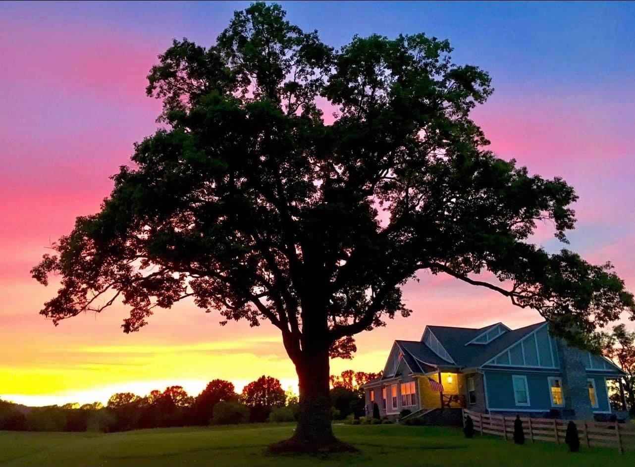 1232 Hardison Road Columbia, TN 38401 - Photo 4 of 65