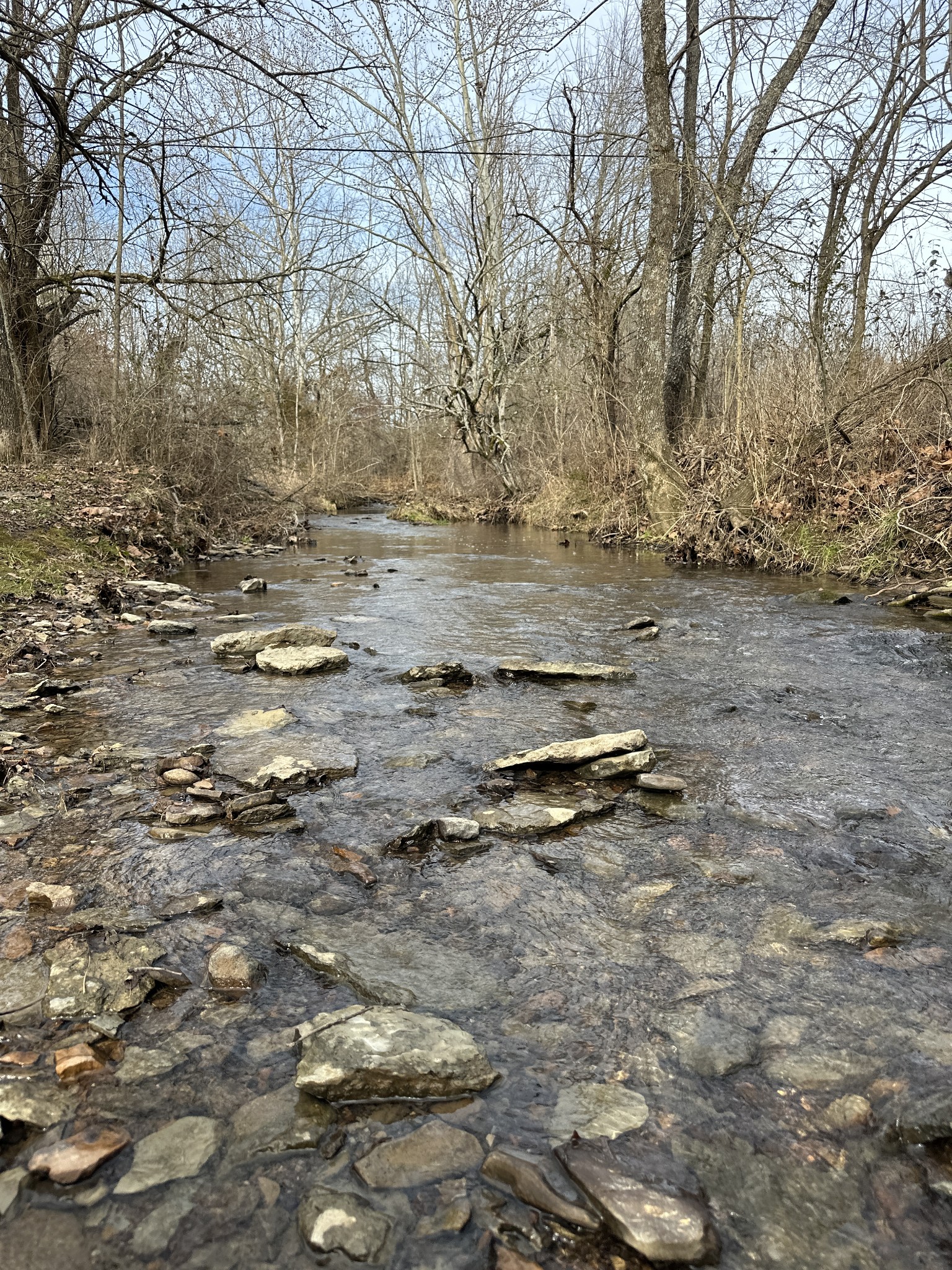 1232 Hardison Road Columbia, TN 38401 - Photo 51 of 65