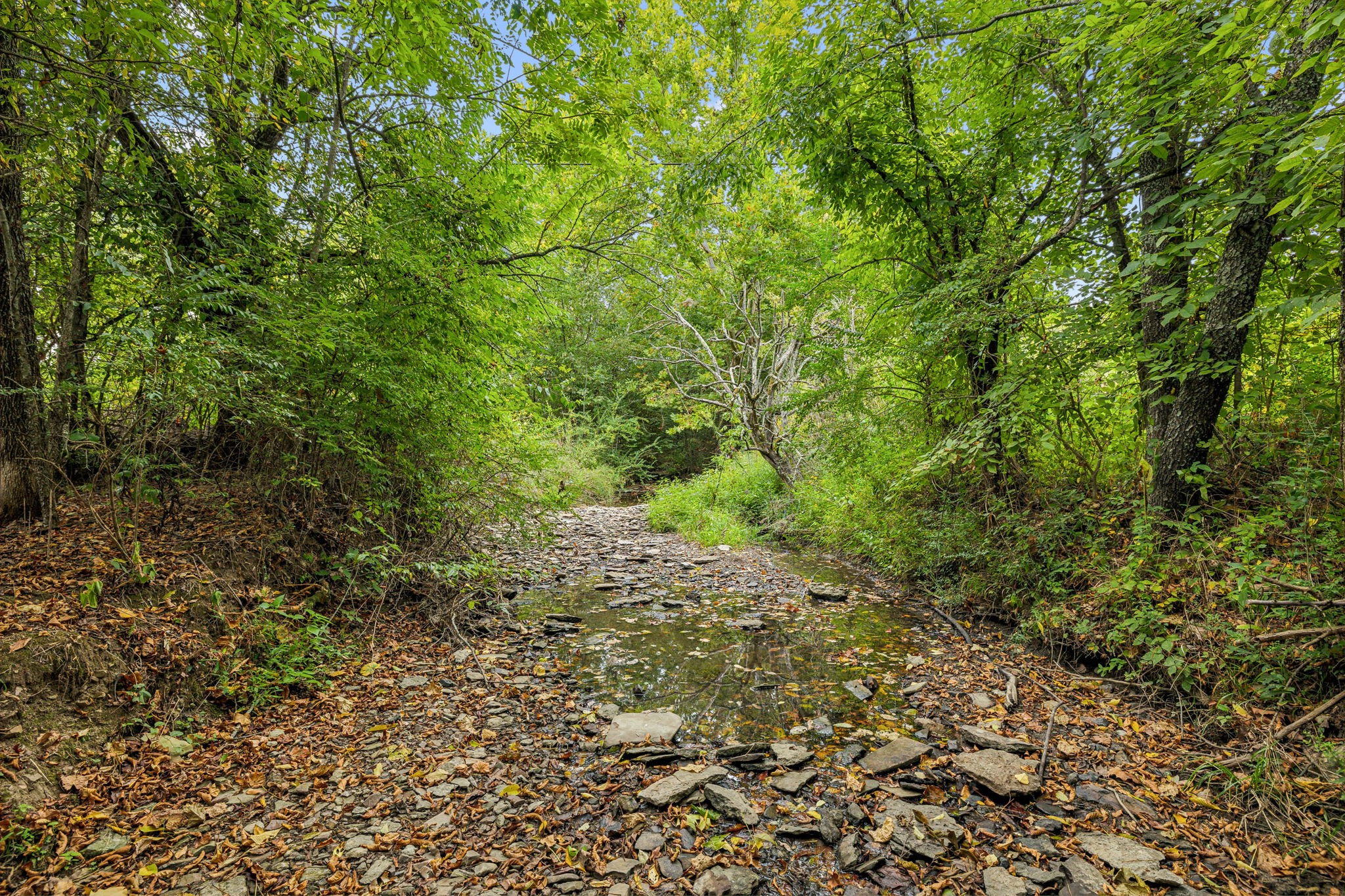 1232 Hardison Road Columbia, TN 38401 - Photo 52 of 65