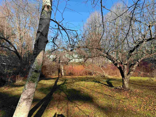 $695,000 | 10 On The Common, Lyme, NH 03768