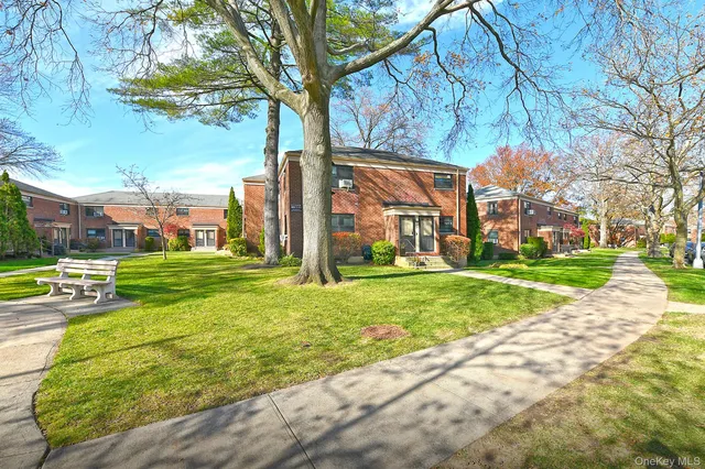 a view of a park with large trees