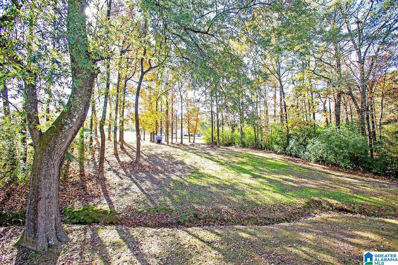 165 2nd Street Sumiton, AL 35148 - Photo 16 of 50