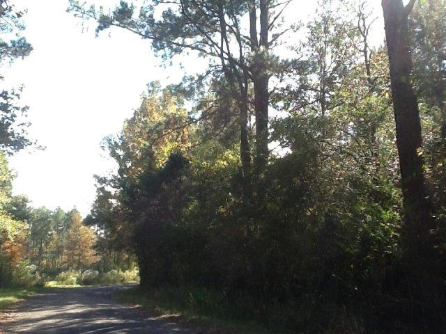 0 West Topisaw Road North Ruth, MS 39662 - Photo 1 of 1 Main View