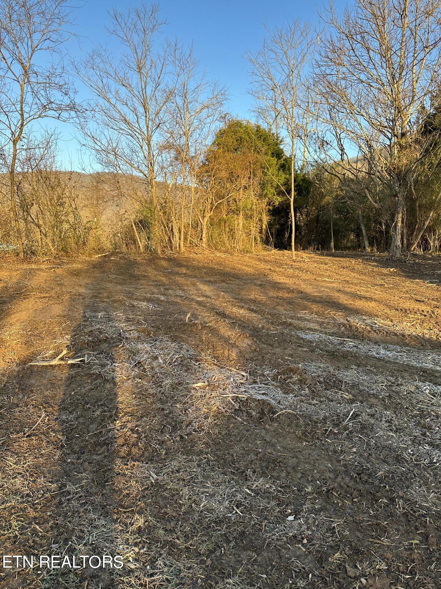 513 Rogers Road Speedwell, TN 37870 - Photo 14 of 18 IMG_3412 (1)