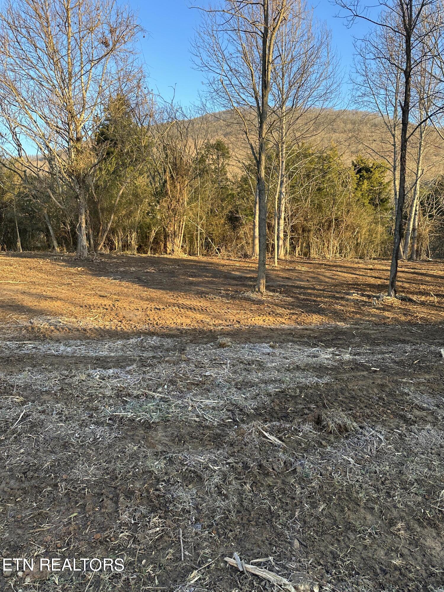 513 Rogers Road Speedwell, TN 37870 - Photo 15 of 18 IMG_3411 (1)