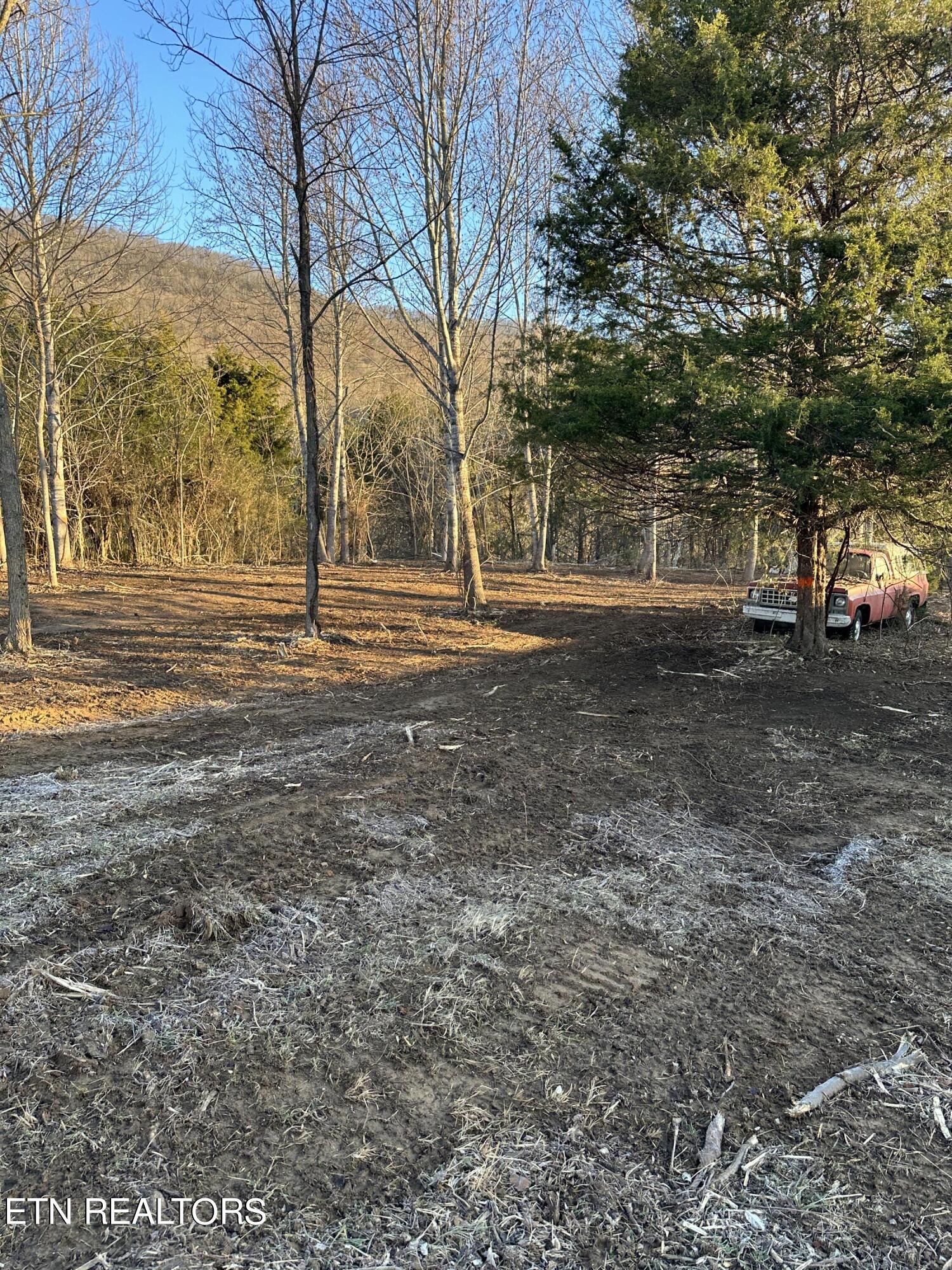 513 Rogers Road Speedwell, TN 37870 - Photo 16 of 18 IMG_3410 (2)