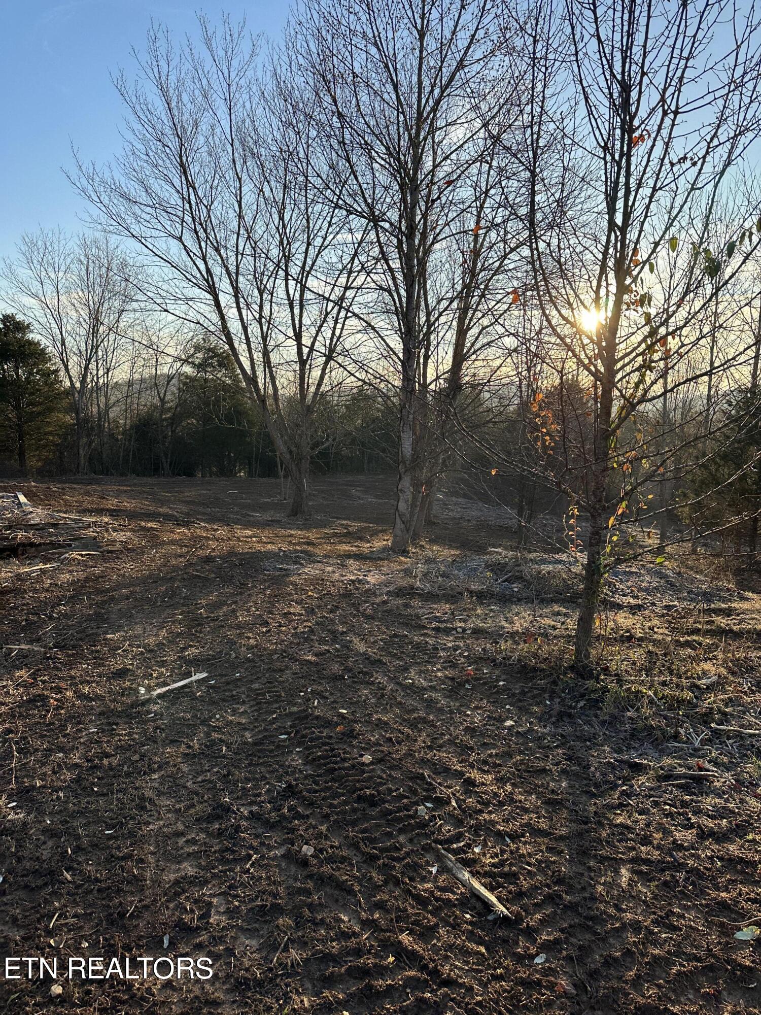 513 Rogers Road Speedwell, TN 37870 - Photo 7 of 18 IMG_3420 (1)