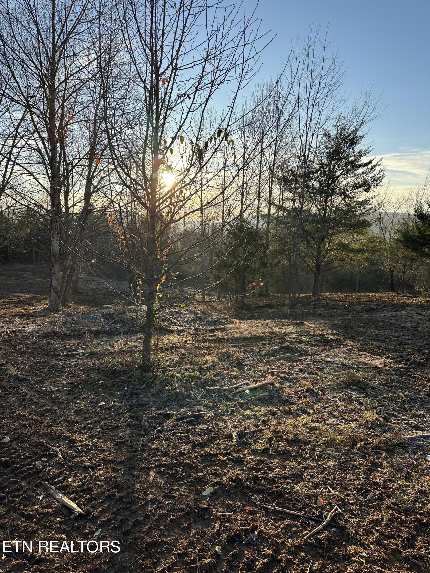 513 Rogers Road Speedwell, TN 37870 - Photo 8 of 18 IMG_3419 (1)