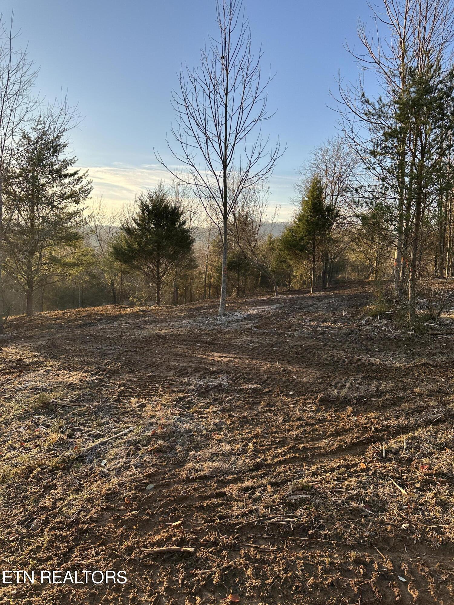 513 Rogers Road Speedwell, TN 37870 - Photo 9 of 18 IMG_3418 (1)