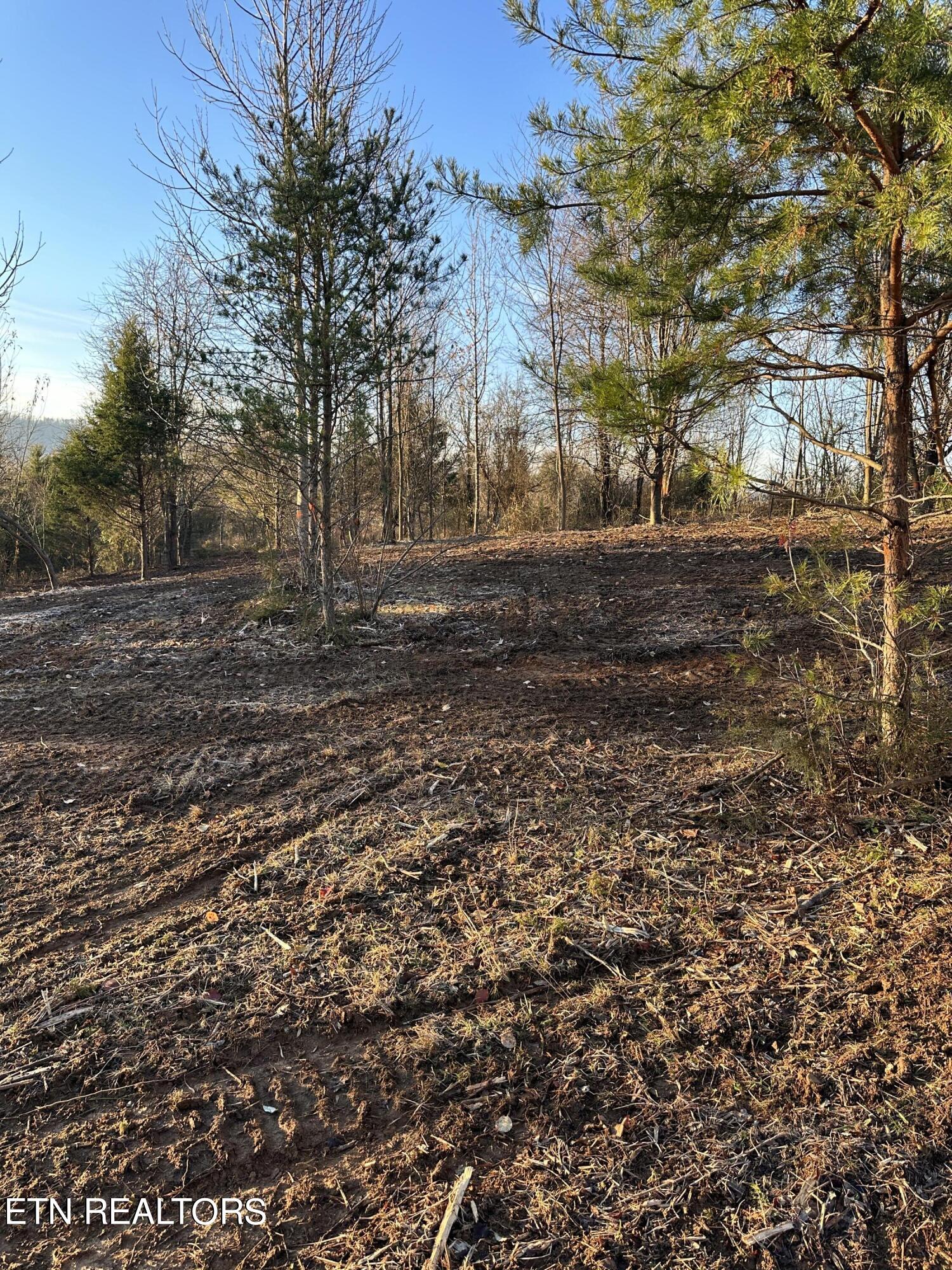 513 Rogers Road Speedwell, TN 37870 - Photo 10 of 18 IMG_3417 (1)