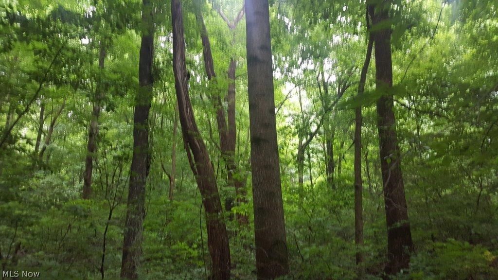5846 Holmes Church Road Northeast New Philadelphia, OH 44663 - Photo 10 of 34