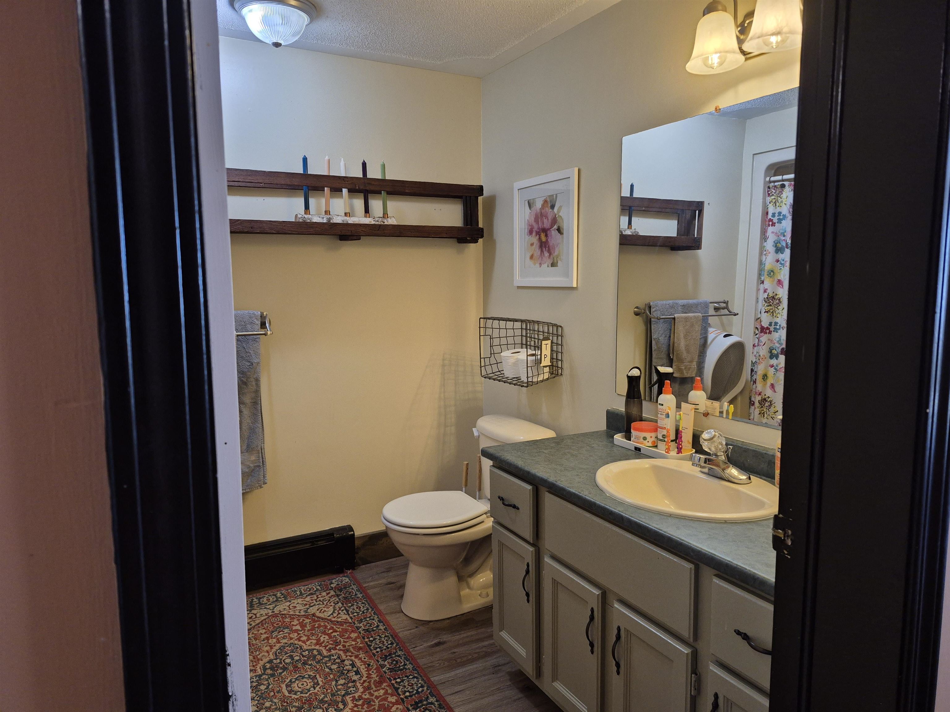 115 Moody Road Effingham, NH 03882 - Photo 19 of 36