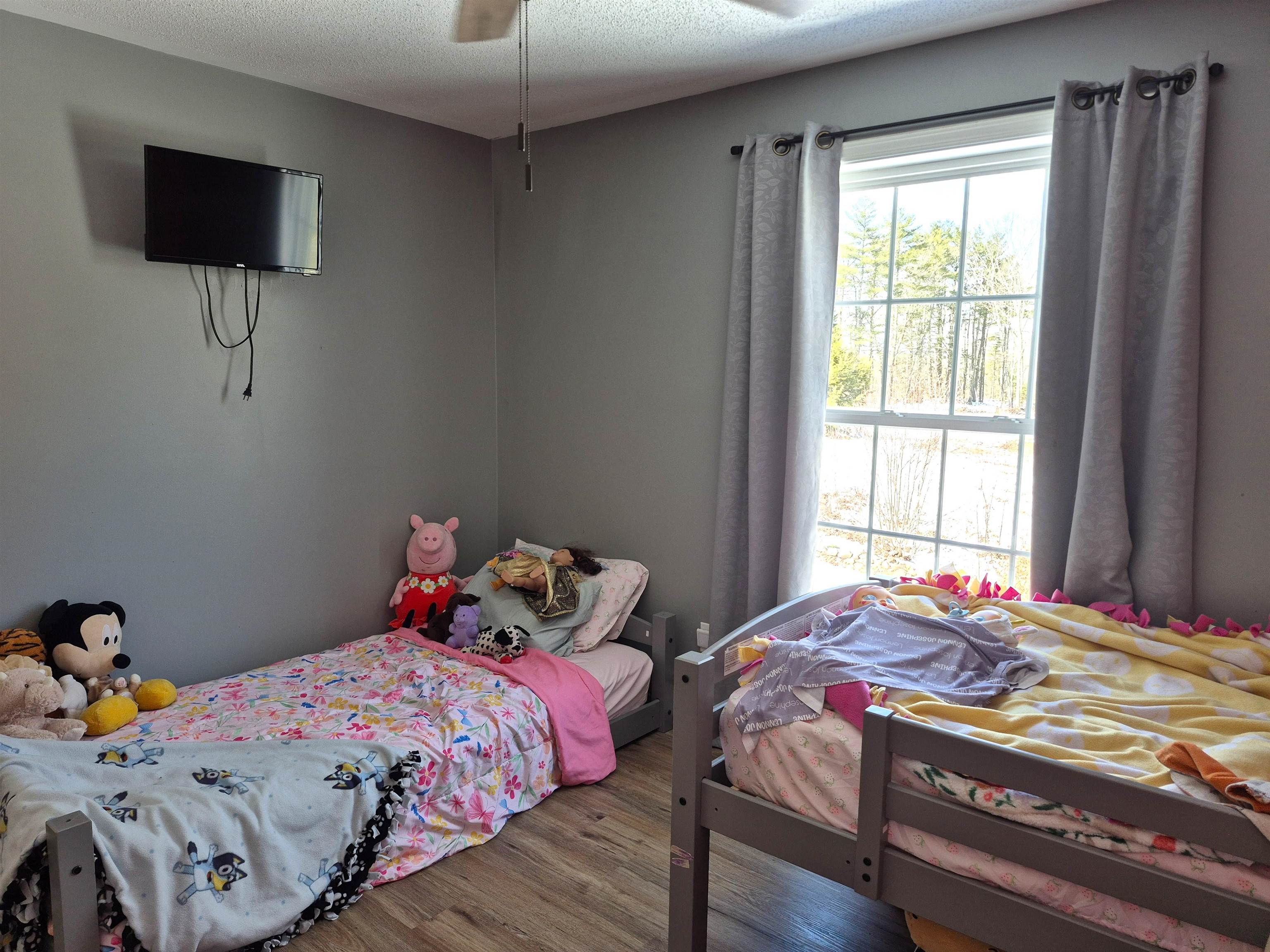 115 Moody Road Effingham, NH 03882 - Photo 23 of 36