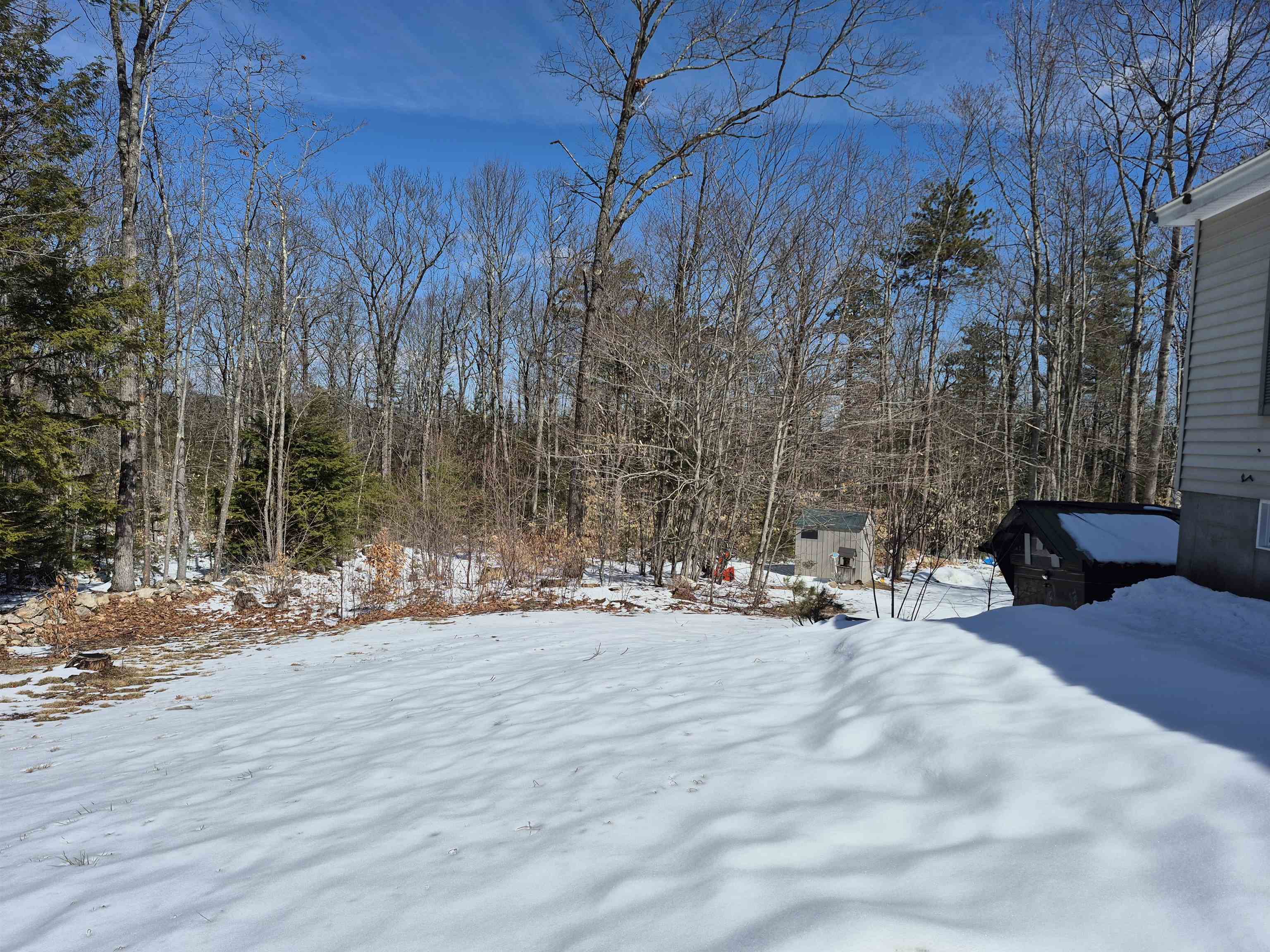 115 Moody Road Effingham, NH 03882 - Photo 4 of 36