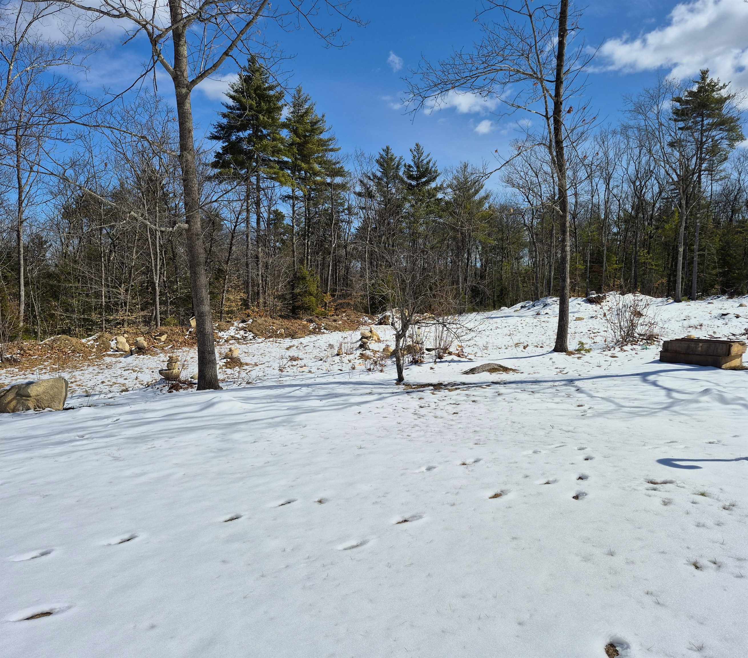 115 Moody Road Effingham, NH 03882 - Photo 8 of 36